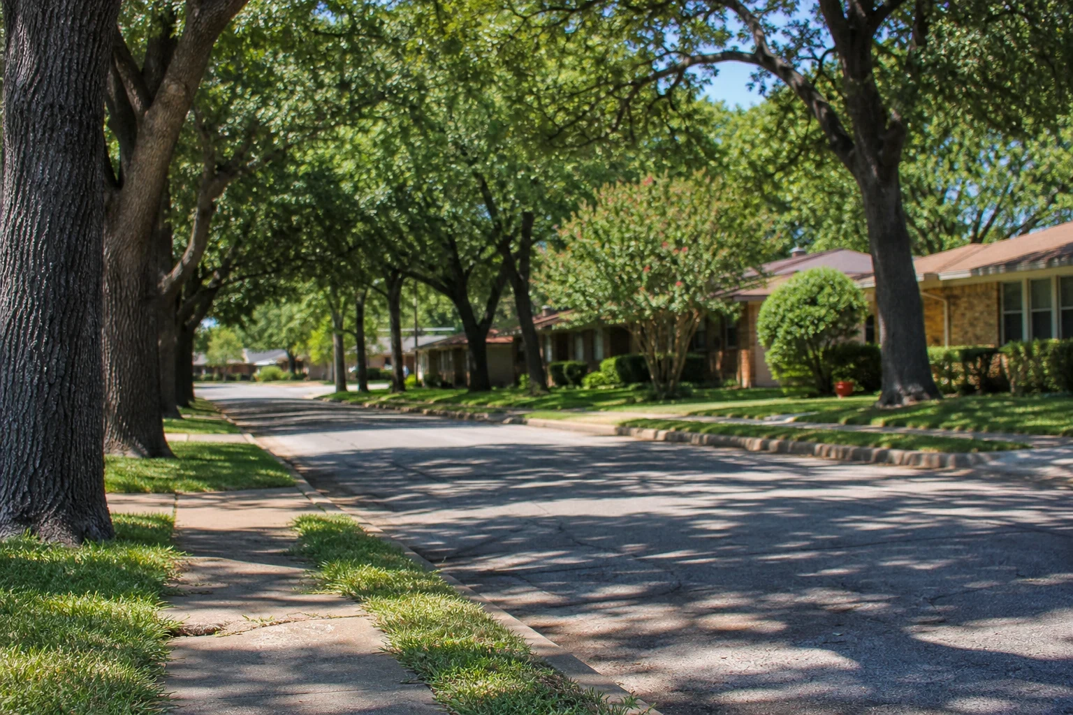 Quiet residential street shaded by mature oak trees, with sidewalks, green lawns and single-story brick ranch homes on a sunny day